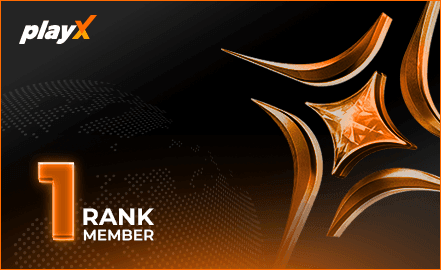 playX VIP 1 badge