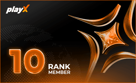 playX VIP 10 badge