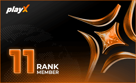 playX VIP 11 badge