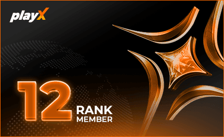 playX VIP 12 badge