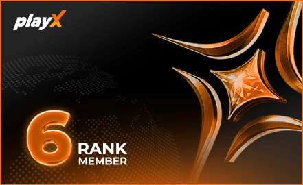 playX VIP 6 badge
