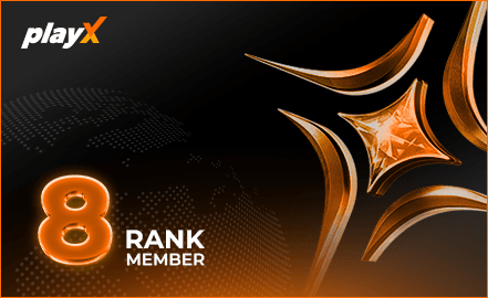 playX VIP 8 badge